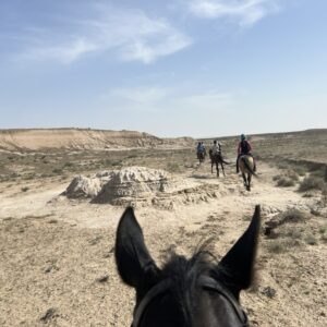 8- of 13-daagse paardrijtocht op Akhal-Teke paarden - Turkmenistan - Afbeelding 10