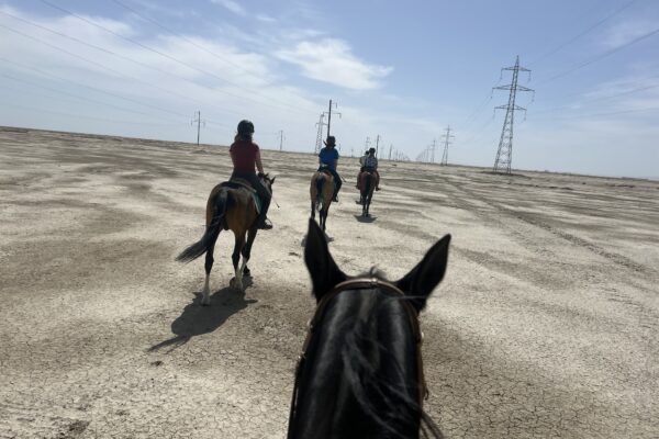 8- of 13-daagse paardrijtocht op Akhal-Teke paarden - Turkmenistan