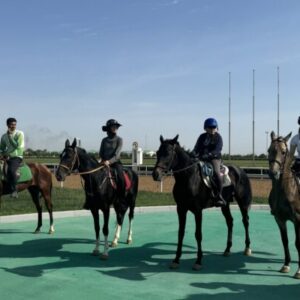 8- of 13-daagse paardrijtocht op Akhal-Teke paarden - Turkmenistan - Afbeelding 7