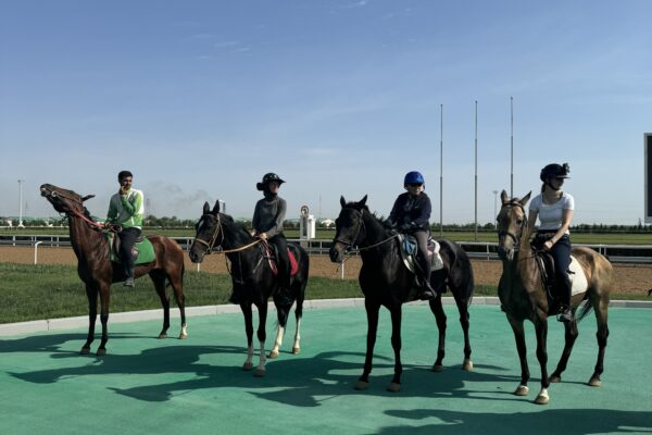 8- of 13-daagse paardrijtocht op Akhal-Teke paarden - Turkmenistan