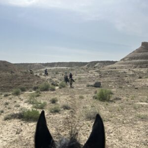 8- of 13-daagse paardrijtocht op Akhal-Teke paarden - Turkmenistan - Afbeelding 3