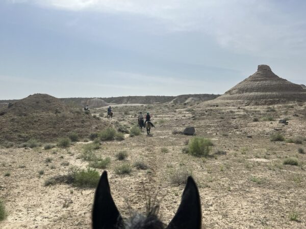 8- of 13-daagse paardrijtocht op Akhal-Teke paarden - Turkmenistan