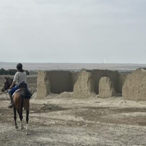 8- of 13-daagse paardrijtocht op Akhal-Teke paarden - Turkmenistan - Afbeelding 2