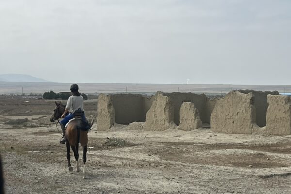 8- of 13-daagse paardrijtocht op Akhal-Teke paarden - Turkmenistan