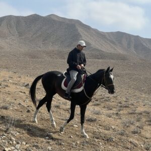 8- of 13-daagse paardrijtocht op Akhal-Teke paarden - Turkmenistan - Afbeelding 20