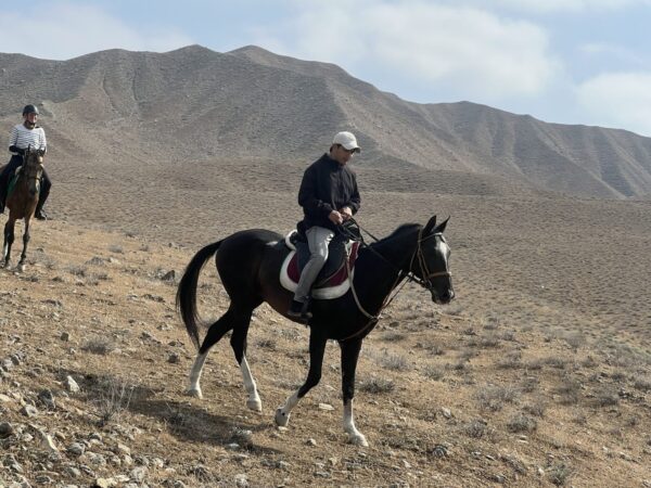 8- of 13-daagse paardrijtocht op Akhal-Teke paarden - Turkmenistan