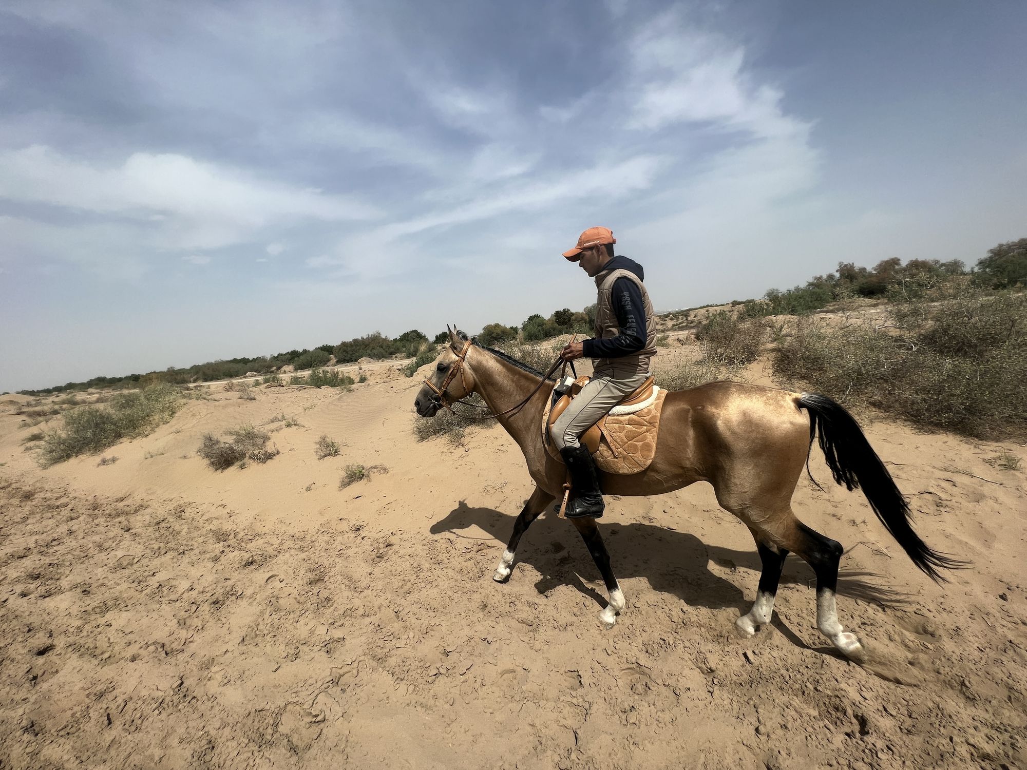 8- of 13-daagse paardrijtocht op Akhal-Teke paarden - Turkmenistan - Afbeelding 17