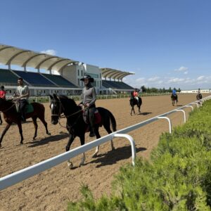 8- of 13-daagse paardrijtocht op Akhal-Teke paarden - Turkmenistan - Afbeelding 16
