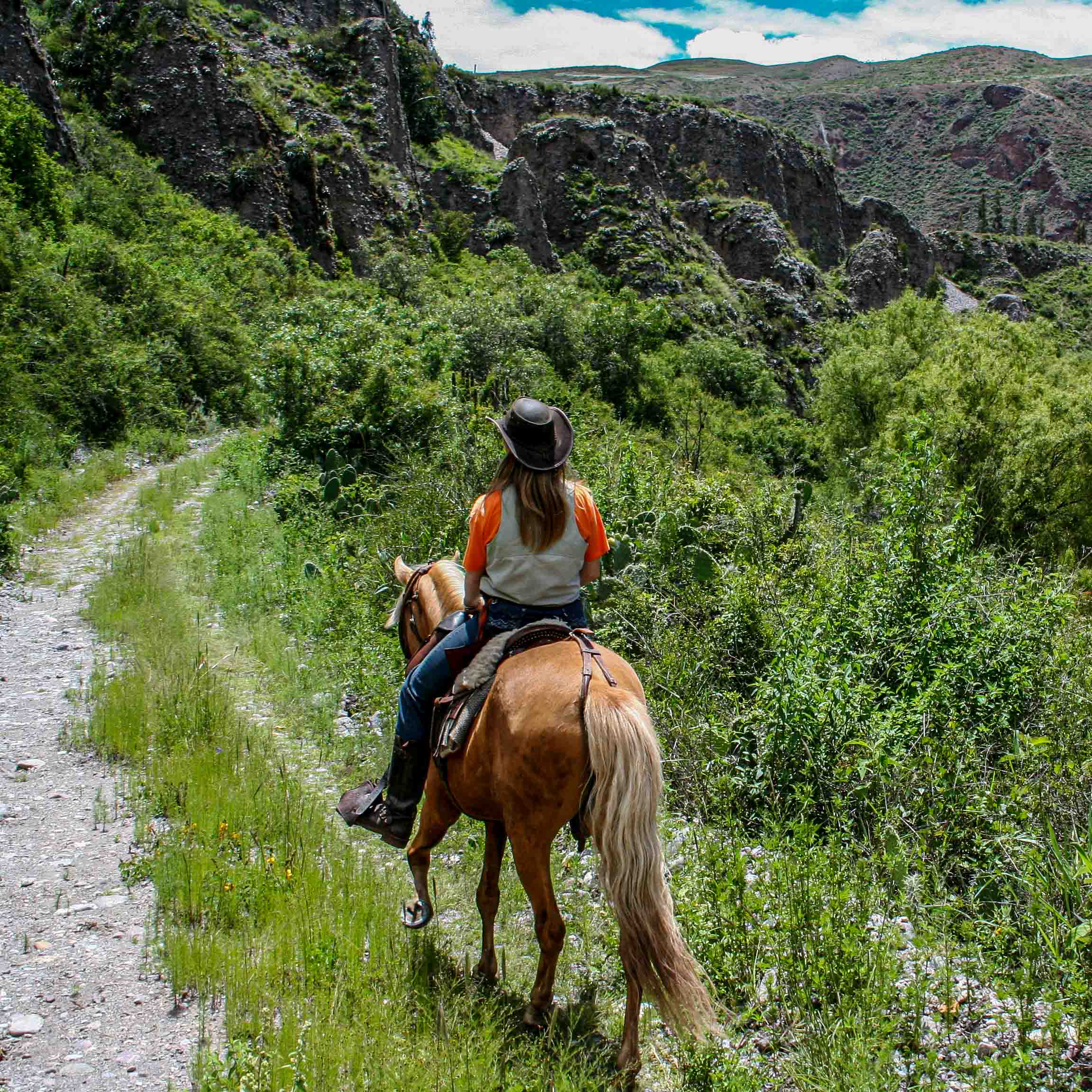 Paardrijdagtocht naar Valley View Point – Puma Orqo- Peru