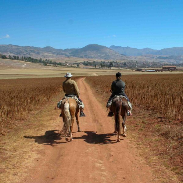 3-daagse paardrijtocht Valley View Point - Peru