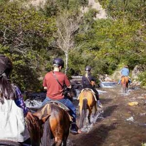 Paardrijdagtocht Manthanay Natural Reserve & Hummingbirds Sanctuary - Peru