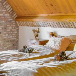 Hittax (evt. met overnachting) - Loonse en Drunense Duinen Noord-Brabant - Nederland - Afbeelding 9