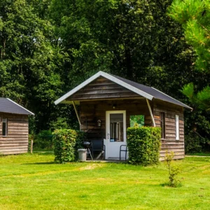 Hittax (evt. met overnachting) - Loonse en Drunense Duinen Noord-Brabant - Nederland - Afbeelding 11