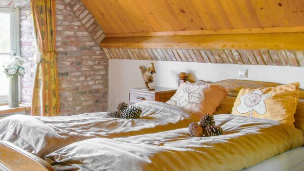 Hittax (evt. met overnachting) - Loonse en Drunense Duinen Noord-Brabant - Nederland