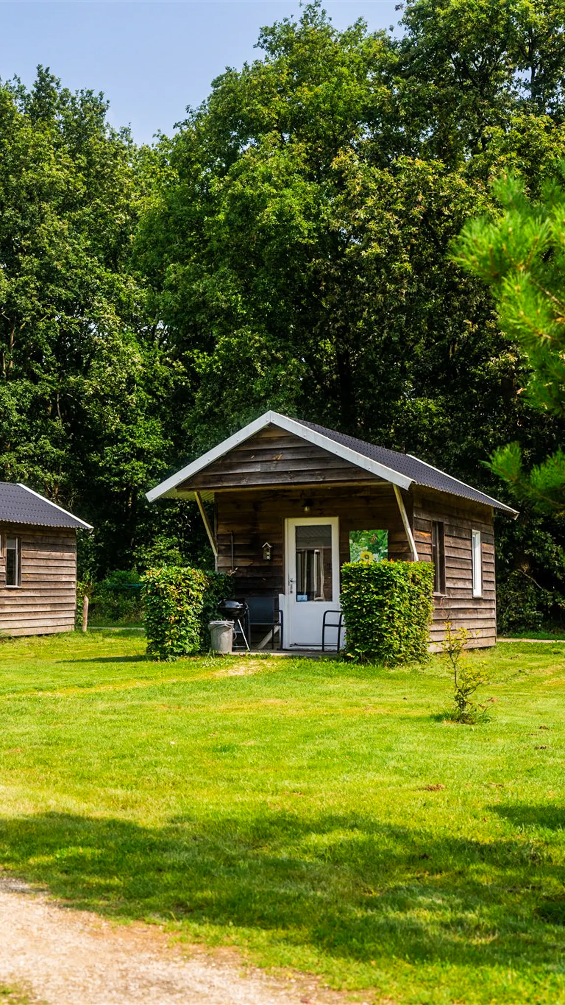 Hittax (evt. met overnachting) - Loonse en Drunense Duinen Noord-Brabant - Nederland