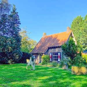 Hittax (evt. met overnachting) - Loonse en Drunense Duinen Noord-Brabant - Nederland - Afbeelding 8