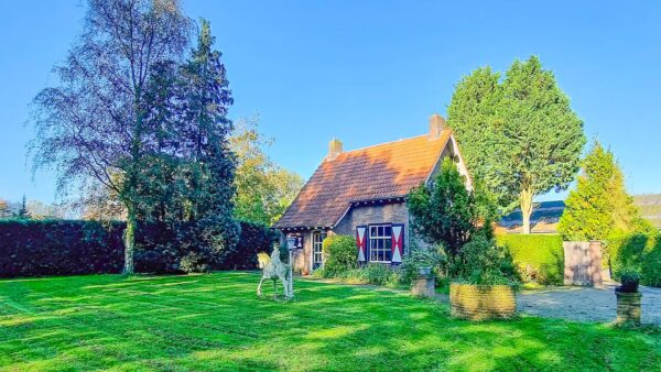 Hittax (evt. met overnachting) - Loonse en Drunense Duinen Noord-Brabant - Nederland