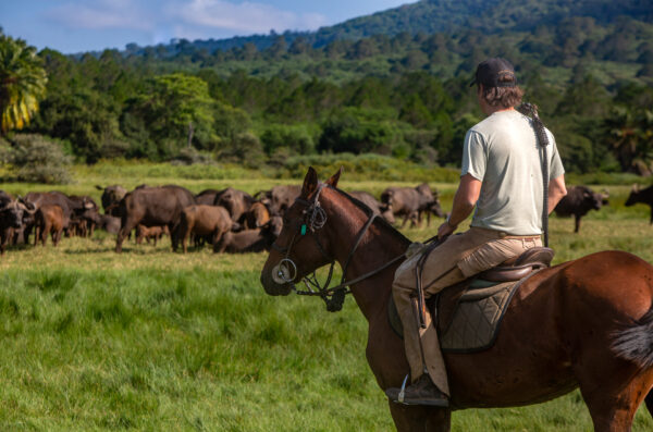 4-daagse Paardrijsafari Buffels, Bergen & Magie - Tanzania