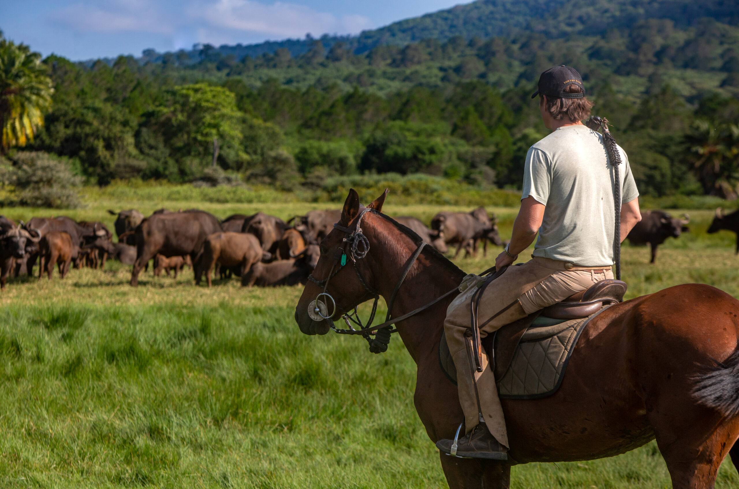 4-daagse Paardrijsafari Buffels, Bergen & Magie - Tanzania - Afbeelding 13