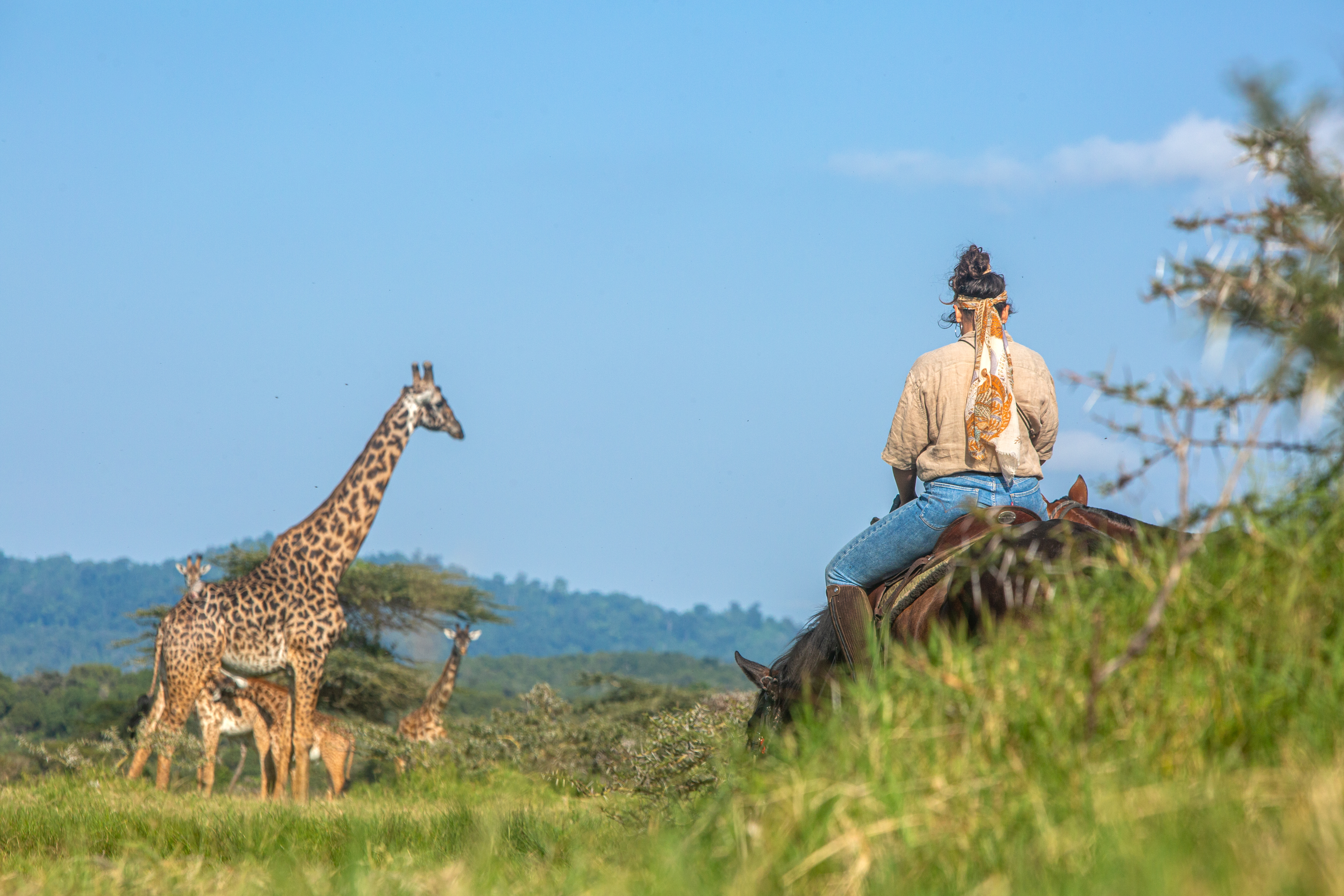 4-daagse Paardrijsafari Buffels, Bergen & Magie - Tanzania - Afbeelding 10