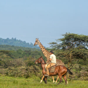 4-daagse Paardrijsafari Buffels, Bergen & Magie - Tanzania - Afbeelding 8