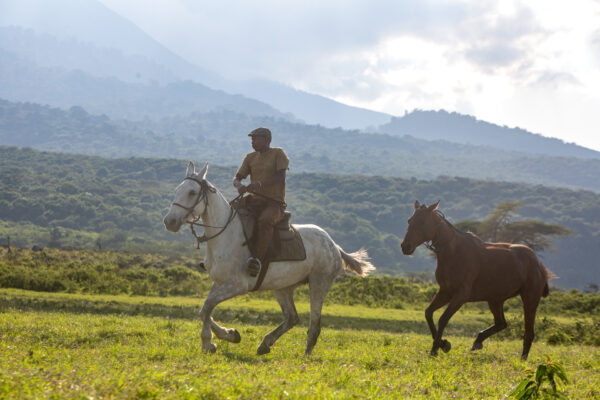 4-daagse Paardrijsafari Buffels, Bergen & Magie - Tanzania