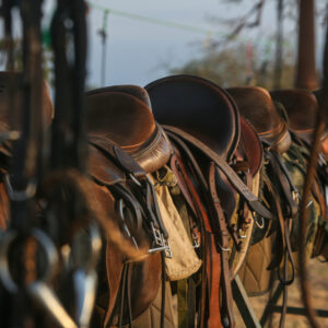 4-daagse Paardrijsafari Buffels, Bergen & Magie - Tanzania - Afbeelding 20