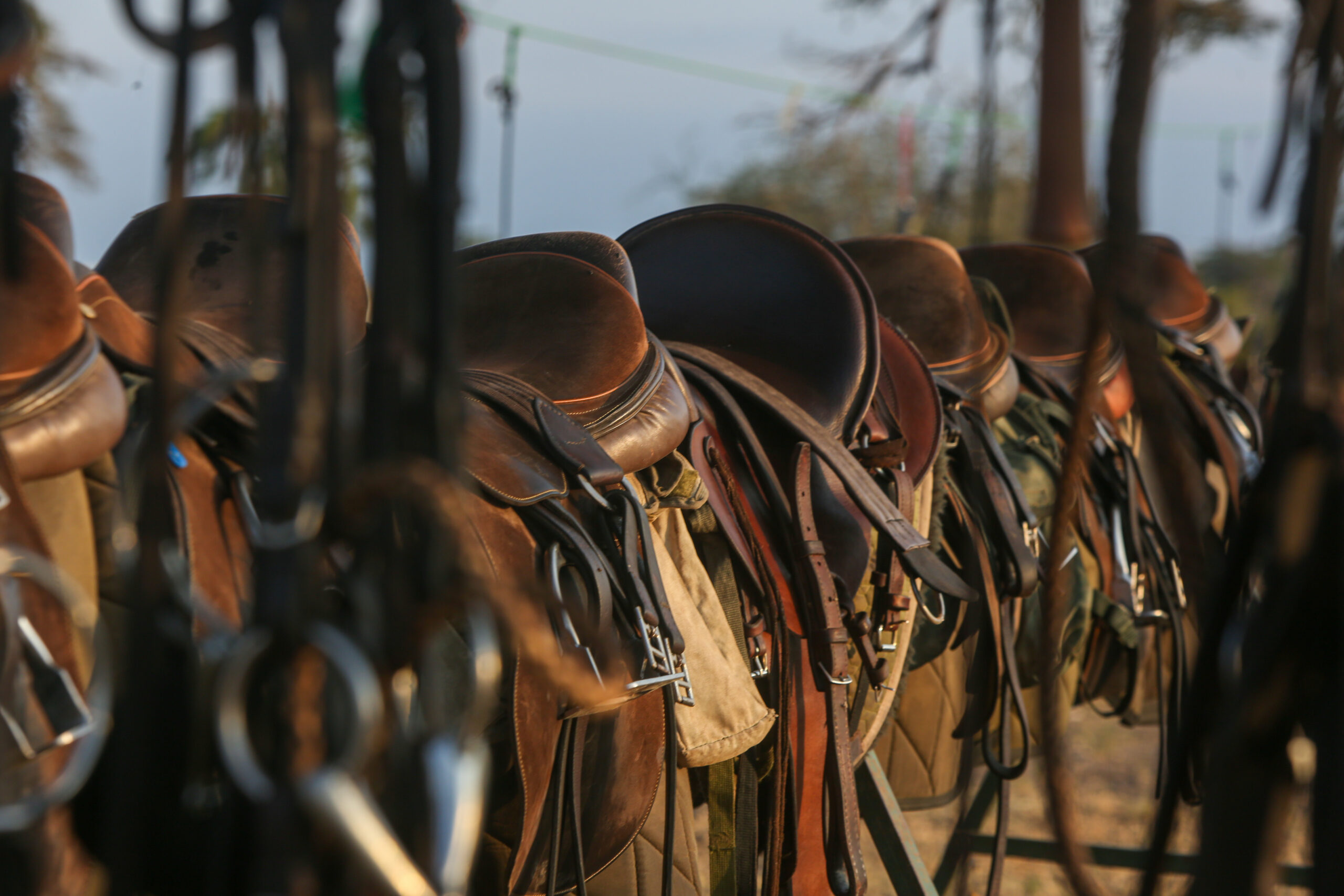 4-daagse Paardrijsafari Buffels, Bergen & Magie - Tanzania - Afbeelding 20