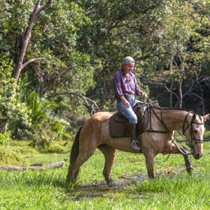 4-daagse Paardrijsafari Buffels, Bergen & Magie - Tanzania - Afbeelding 19