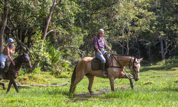 4-daagse Paardrijsafari Buffels, Bergen & Magie - Tanzania