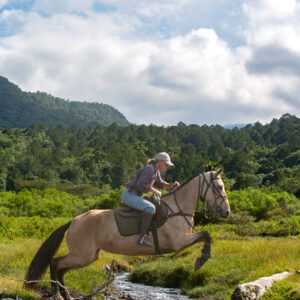 4-daagse Paardrijsafari Buffels, Bergen & Magie - Tanzania - Afbeelding 17
