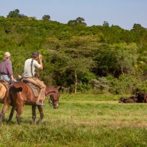4-daagse Paardrijsafari Buffels, Bergen & Magie - Tanzania - Afbeelding 16