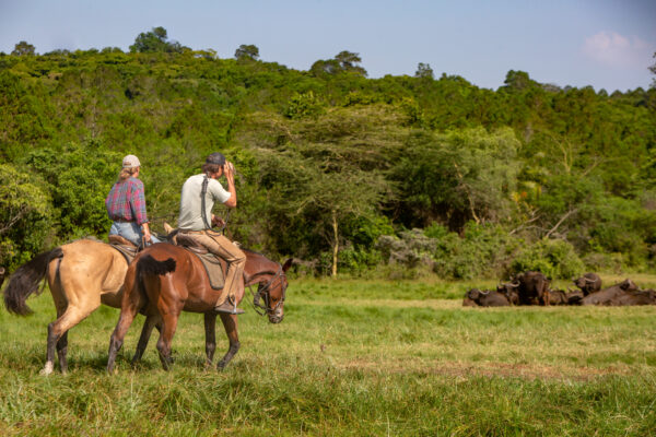 4-daagse Paardrijsafari Buffels, Bergen & Magie - Tanzania