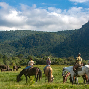 4-daagse Paardrijsafari Buffels, Bergen & Magie - Tanzania - Afbeelding 15