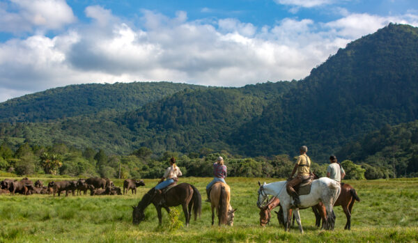 4-daagse Paardrijsafari Buffels, Bergen & Magie - Tanzania