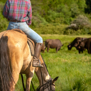 4-daagse Paardrijsafari Buffels, Bergen & Magie - Tanzania - Afbeelding 14