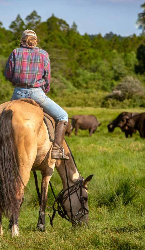 4-daagse Paardrijsafari Buffels, Bergen & Magie - Tanzania
