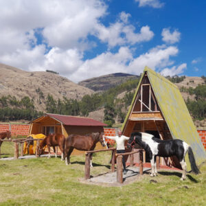 5-daagse paardrijtocht De Paradijsrit door de Andes - Peru - Afbeelding 7