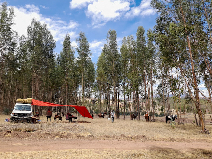5-daagse paardrijtocht De Paradijsrit door de Andes - Peru - Afbeelding 8