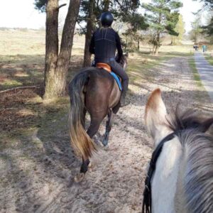 Paardrijkamp met je eigen paard voor jongeren in Westerveld Drenthe - Nederland