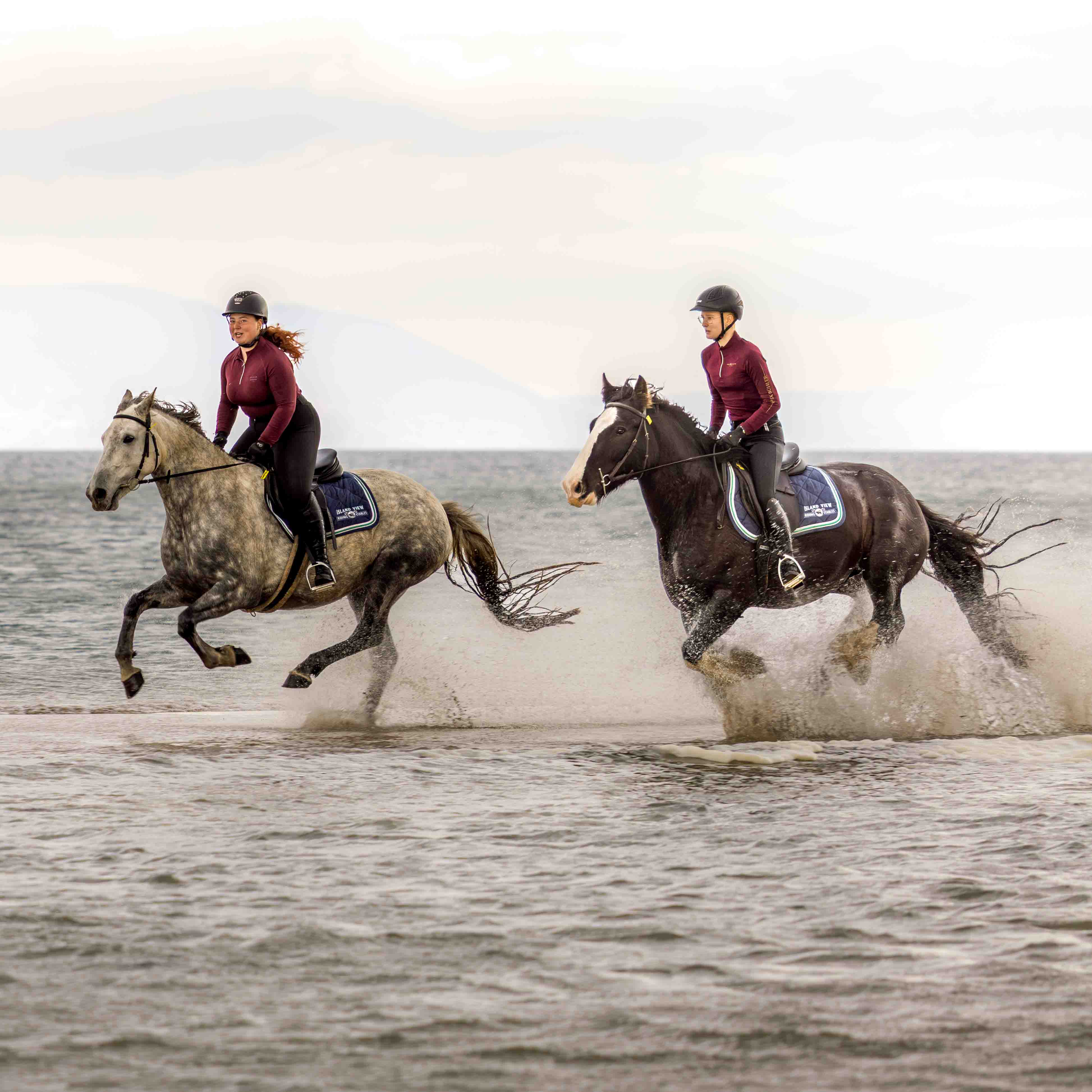 7-daagse paardrijtocht Atlantic Trail  – Ierland