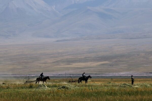 7-daagse paardrijtocht Pamirbergen en de Wakhan-corridor - Tadzjikistan