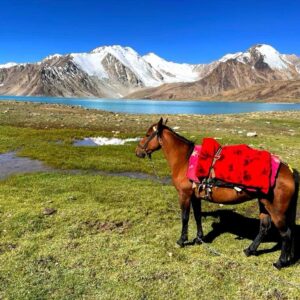 7-daagse paardrijtocht Pamirbergen en de Wakhan-corridor - Tadzjikistan - Afbeelding 6