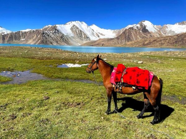 7-daagse paardrijtocht Pamirbergen en de Wakhan-corridor - Tadzjikistan