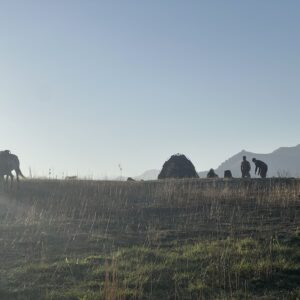 10-daagse paardrijtocht Ugam Chatkal Nationaal Park - Oezbekistan - Afbeelding 3
