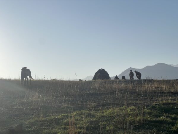 10-daagse paardrijtocht Ugam Chatkal Nationaal Park - Oezbekistan