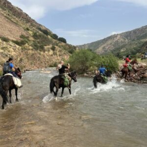 10-daagse paardrijtocht Ugam Chatkal Nationaal Park - Oezbekistan - Afbeelding 17