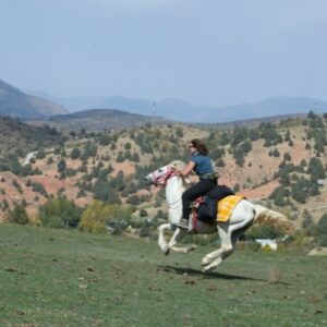 10-daagse paardrijtocht Ugam Chatkal Nationaal Park - Oezbekistan - Afbeelding 16