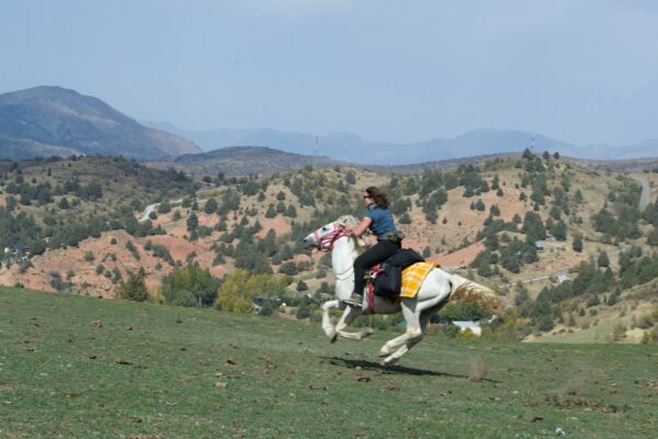 10-daagse paardrijtocht Ugam Chatkal Nationaal Park - Oezbekistan