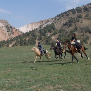 10-daagse paardrijtocht Ugam Chatkal Nationaal Park - Oezbekistan - Afbeelding 14